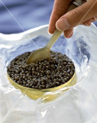 A tin of Beluga caviar with spoon on ice