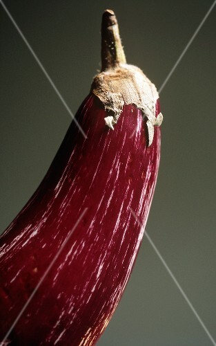 A Single Eggplant
