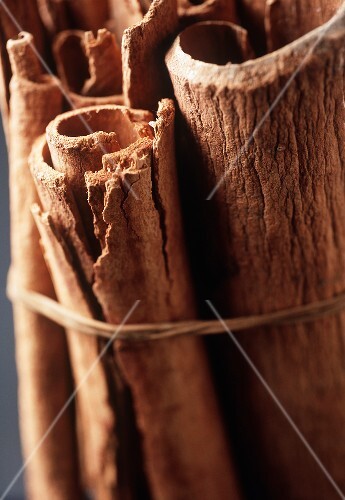 Bundled Cinnamon Sticks