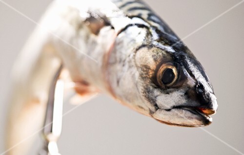 Whole Mackerel on a Serving Fork
