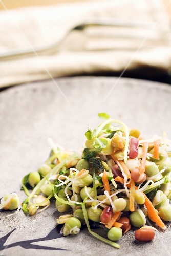 Organic Sprout and Bean Salad
