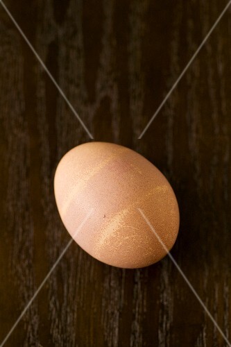 A Single Brown Egg