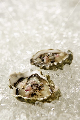 Peppered Oysters on a Ice