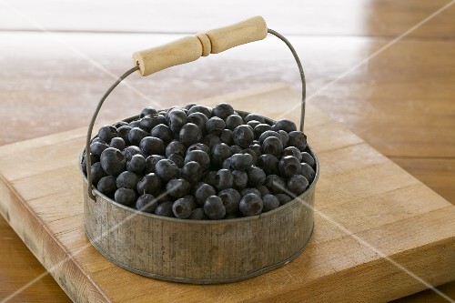 Small Metal Pail of Fresh Blueberries