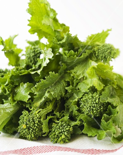 Broccoli Rabe on Kitchen Towel