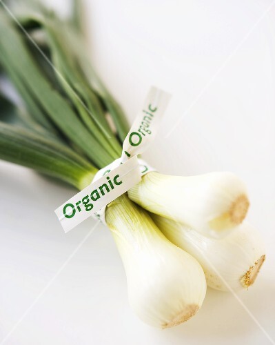 Bunch of Organic Baby Vidalia Onions with "Organic" Twist Tie