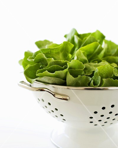Lettuce in colander