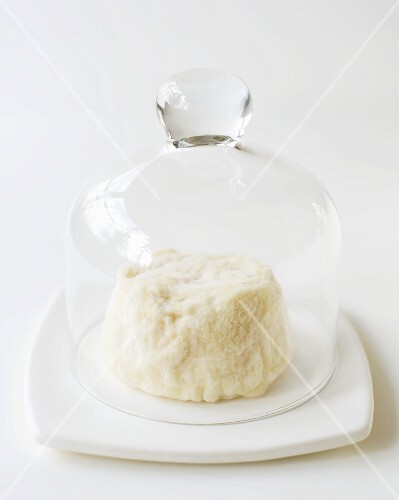 Soft Ripened Goat Cheese in a Cheese Bell