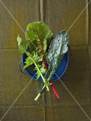 Assorted Greens on Colander