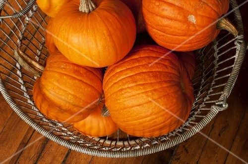 Mini Pumpkins in a Wire Basket